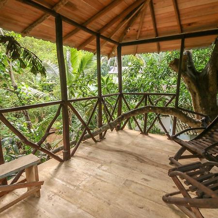 Green Park Safari House & Eco Tree House Udawalawe Kültér fotó