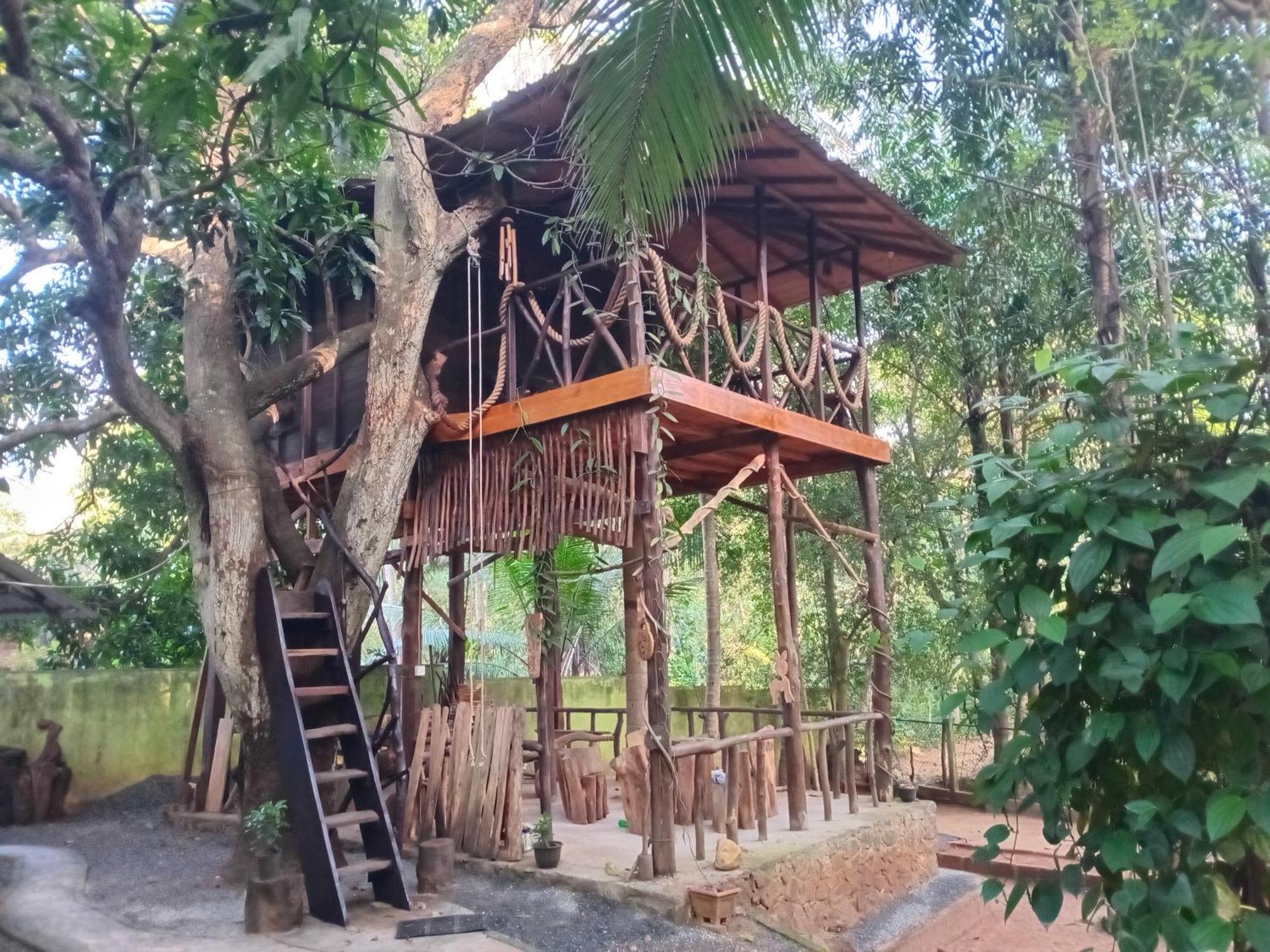 Green Park Safari House & Eco Tree House Udawalawe Kültér fotó