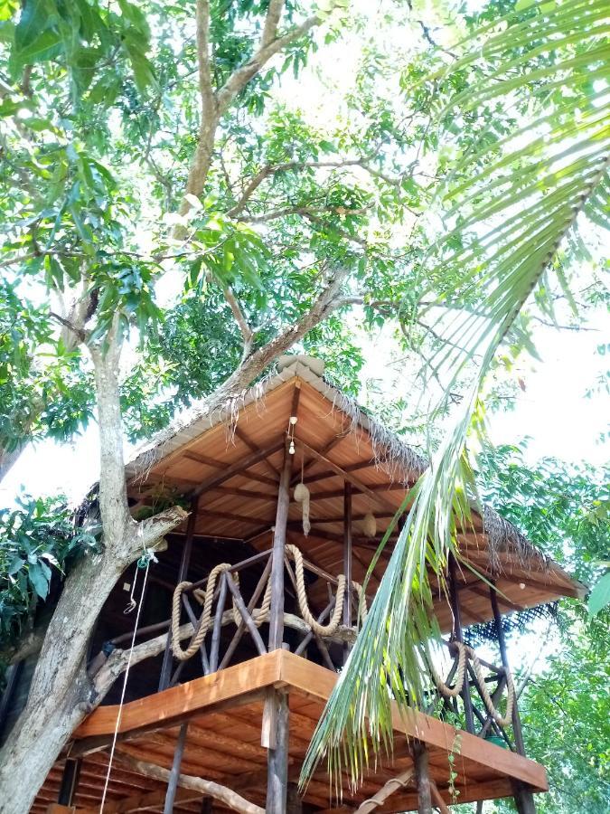 Green Park Safari House & Eco Tree House Udawalawe Kültér fotó